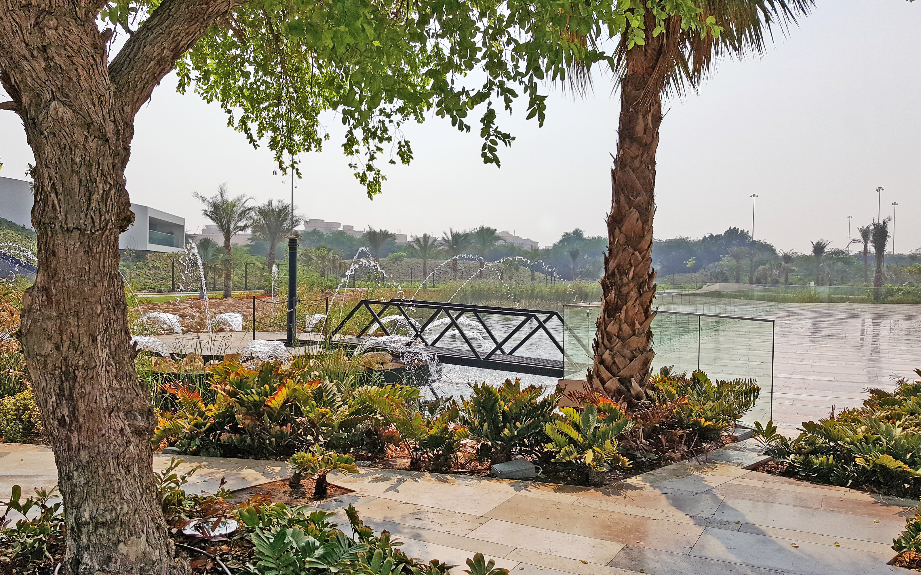 Lake surrounded by trees and plant beds